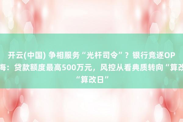开云(中国) 争相服务“光杆司令”？银行竞逐OPC蓝海：贷款额度最高500万元，风控从看典质转向“算改日”