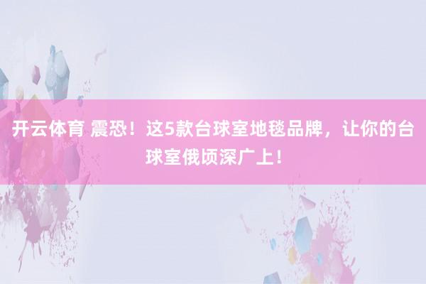 开云体育 震恐！这5款台球室地毯品牌，让你的台球室俄顷深广上！