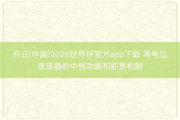开云(中国)2026世界杯官方app下载 等电位贯穿器的中枢功能和职责机制