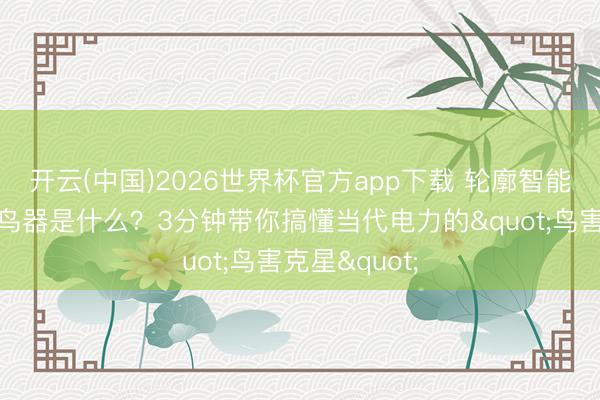 开云(中国)2026世界杯官方app下载 轮廓智能激光语音驱鸟器是什么？3分钟带你搞懂当代电力的"鸟害克星"