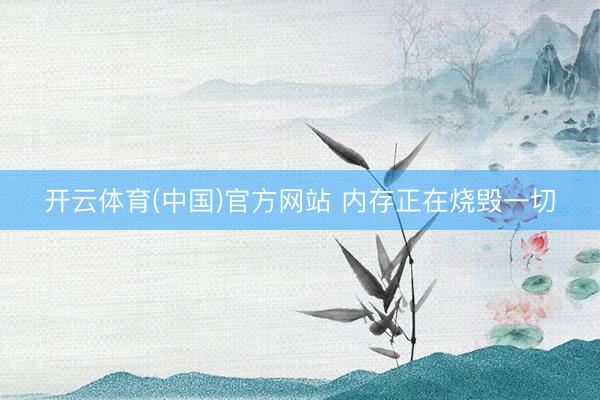 开云体育(中国)官方网站 内存正在烧毁一切