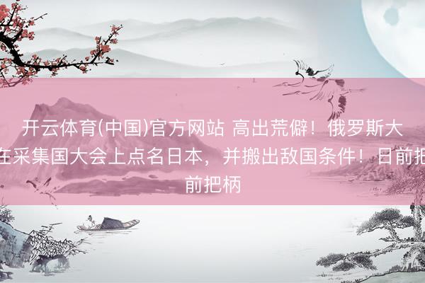 开云体育(中国)官方网站 高出荒僻！俄罗斯大使在采集国大会上点名日本，并搬出敌国条件！日前把柄