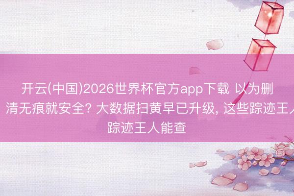 开云(中国)2026世界杯官方app下载 以为删记载、清无痕就安全? 大数据扫黄早已升级， 这些踪迹王人能查