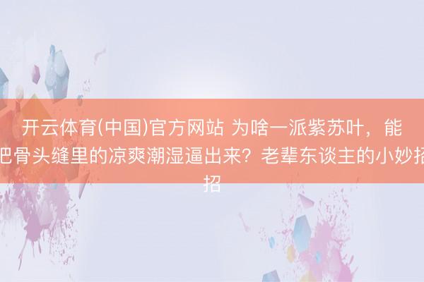 开云体育(中国)官方网站 为啥一派紫苏叶，能把骨头缝里的凉爽潮湿逼出来？老辈东谈主的小妙招